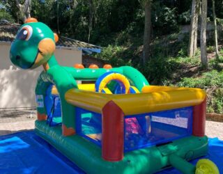 dino (2) dino (2)